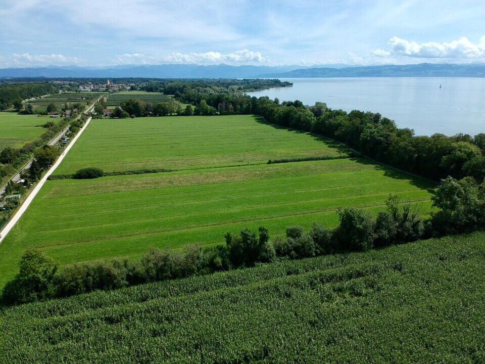 Ferien-Apartment Seewiesen Mit Privatstrand Friedrichshafen Exterior foto