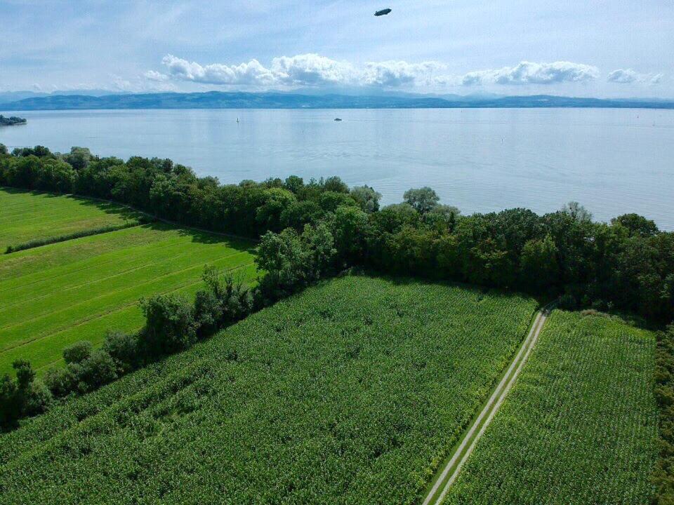 Ferien-Apartment Seewiesen Mit Privatstrand Friedrichshafen Exterior foto